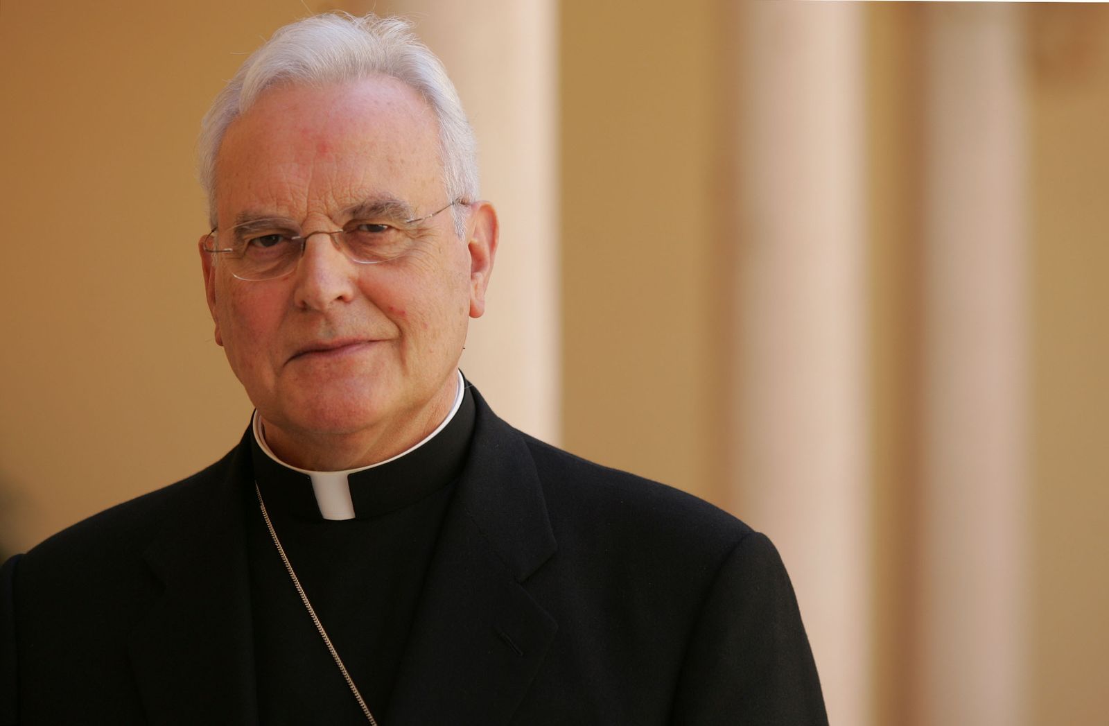 El cardenal Amigo Vallejo.