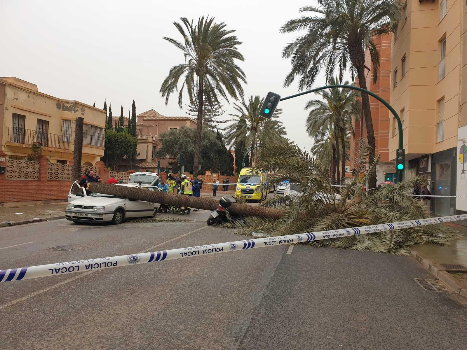 Una palmera causa un brutal accidente en Almería