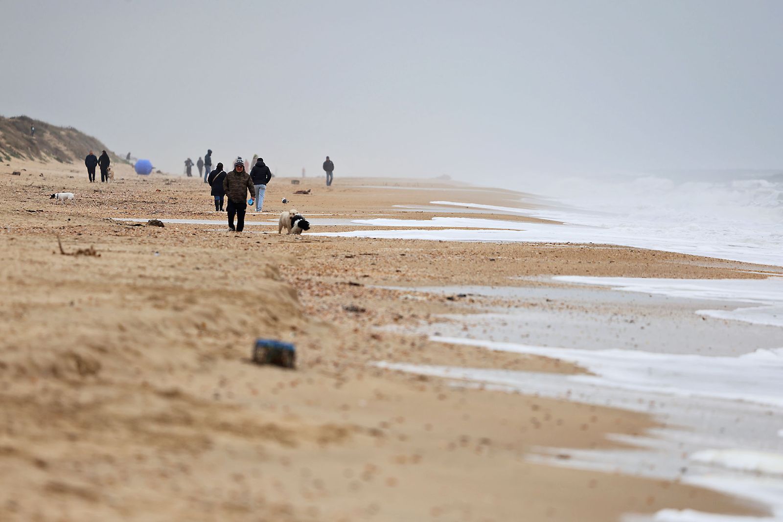 El inicio de 2026 en fotografías