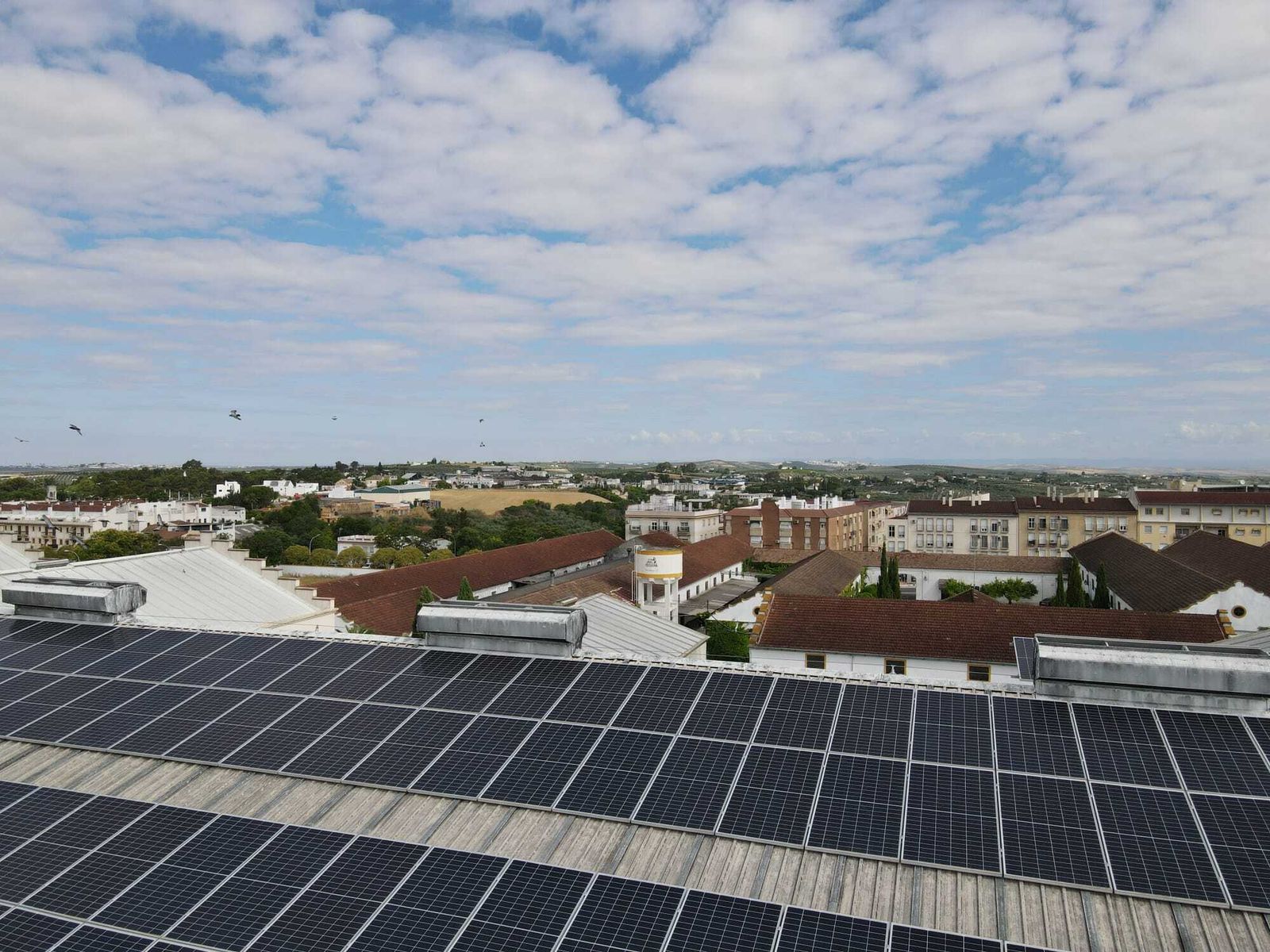 Instalación de módulos fotovoltaicos.