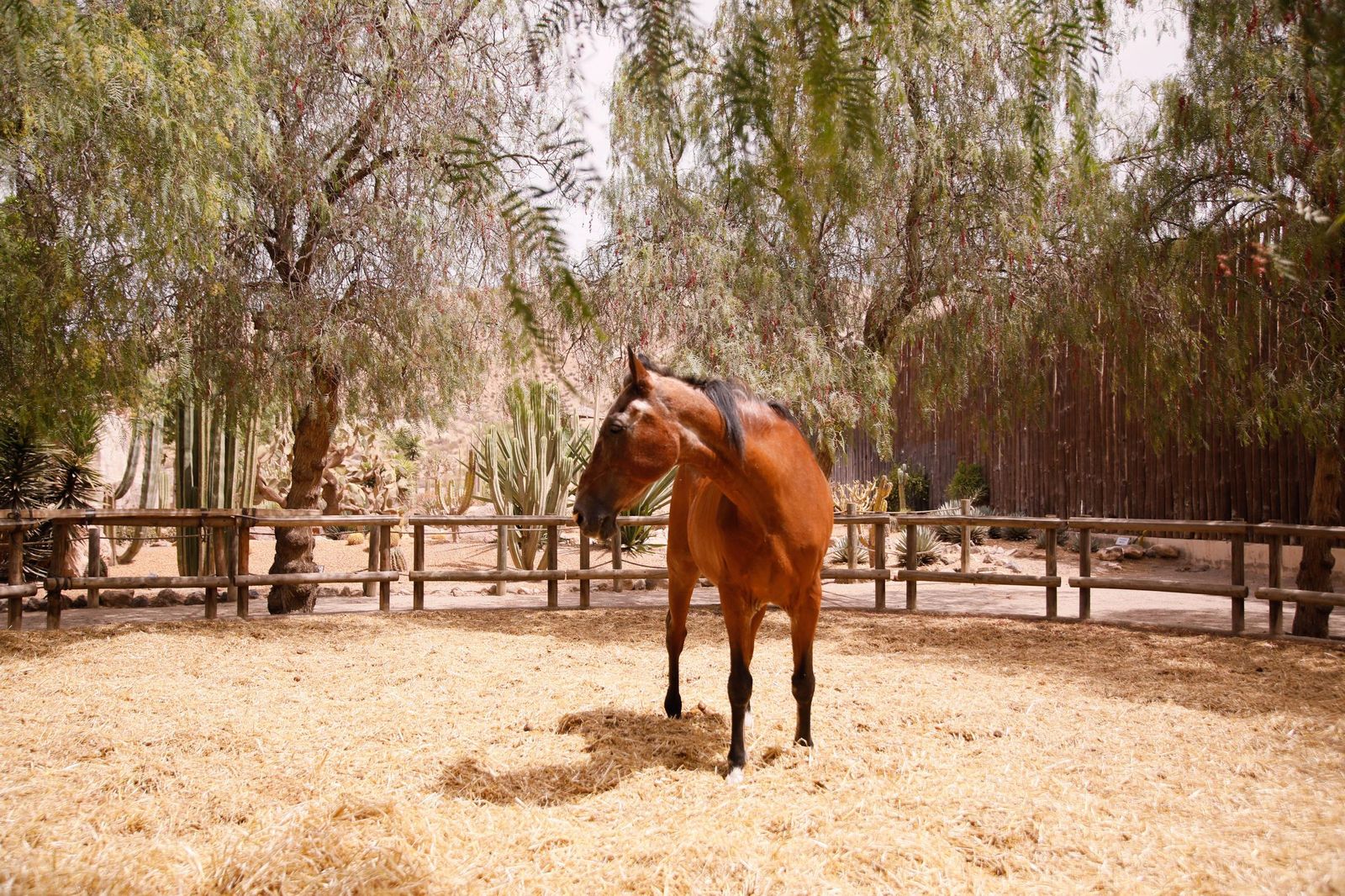 Imágenes del museo a los grandes empresarios y familias históricas de Almería