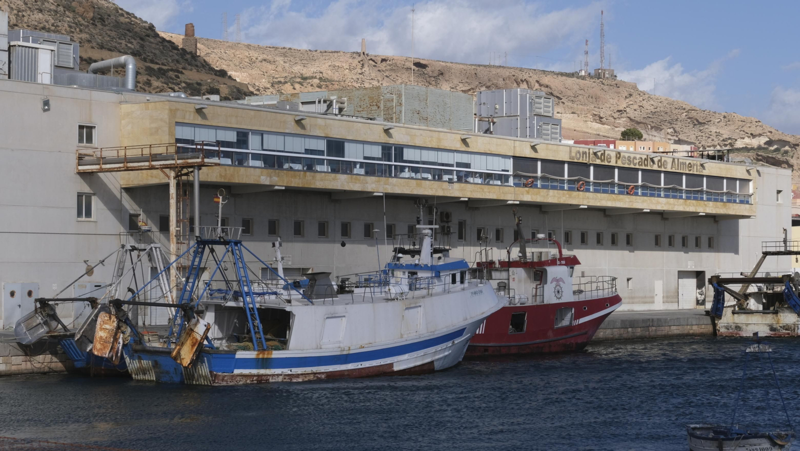 Temporal de viento y flota pesquera amarrada, en Almería