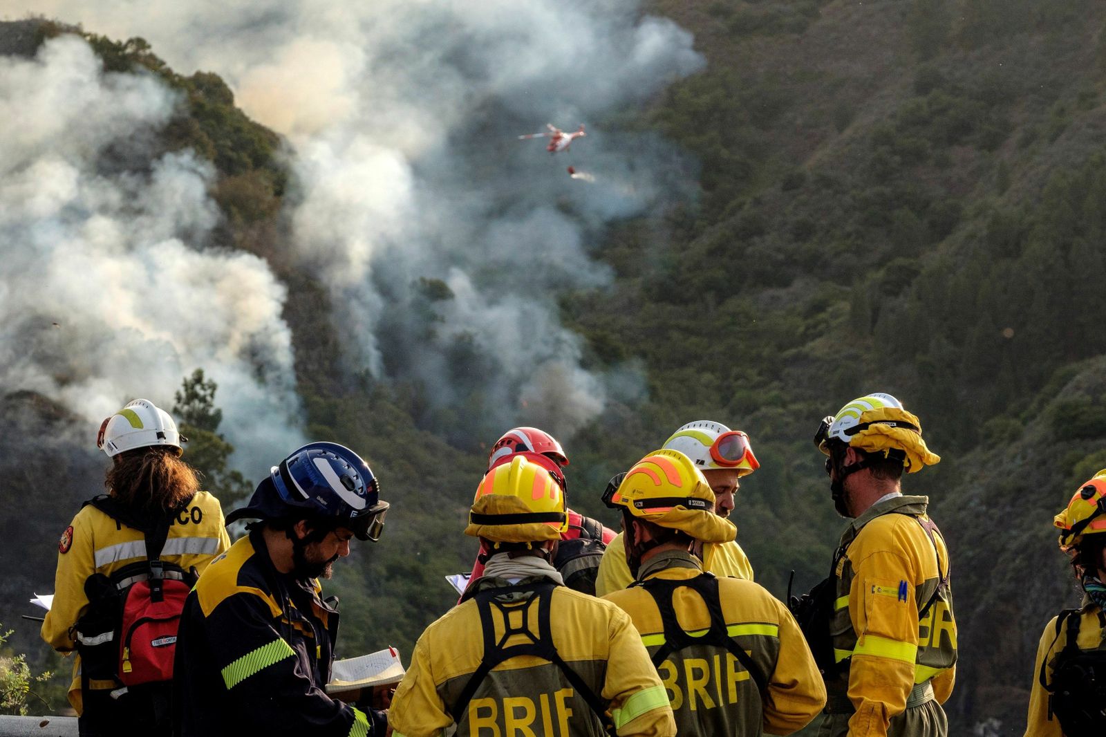 Las imágenes del incendio forestal en Gran Canaria.