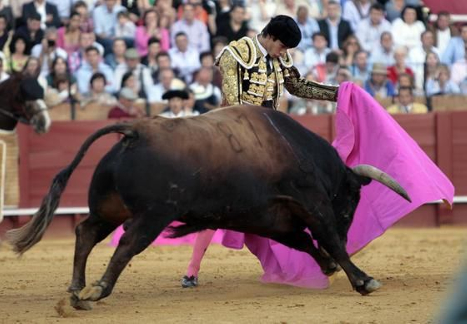 Castella./ Juan Carlos Muñoz