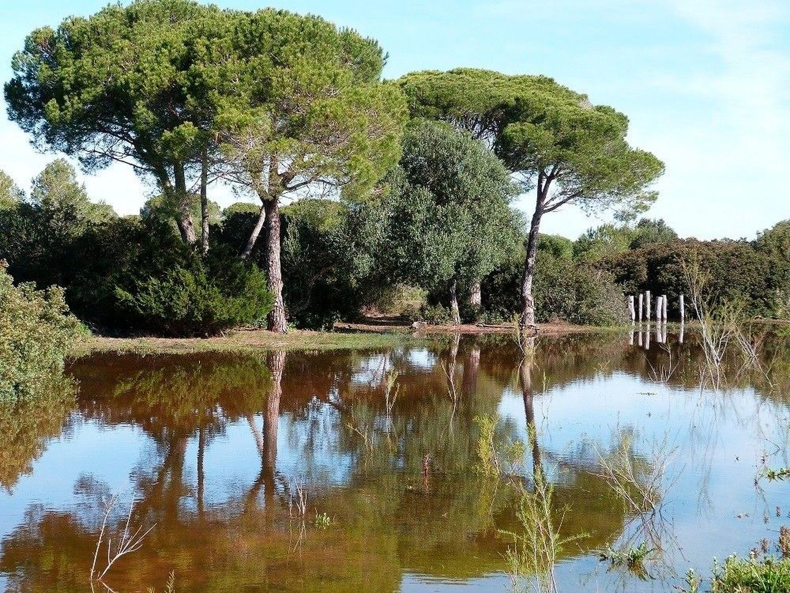 Imagen del Parque de los Toruños en El Puerto de Santa María