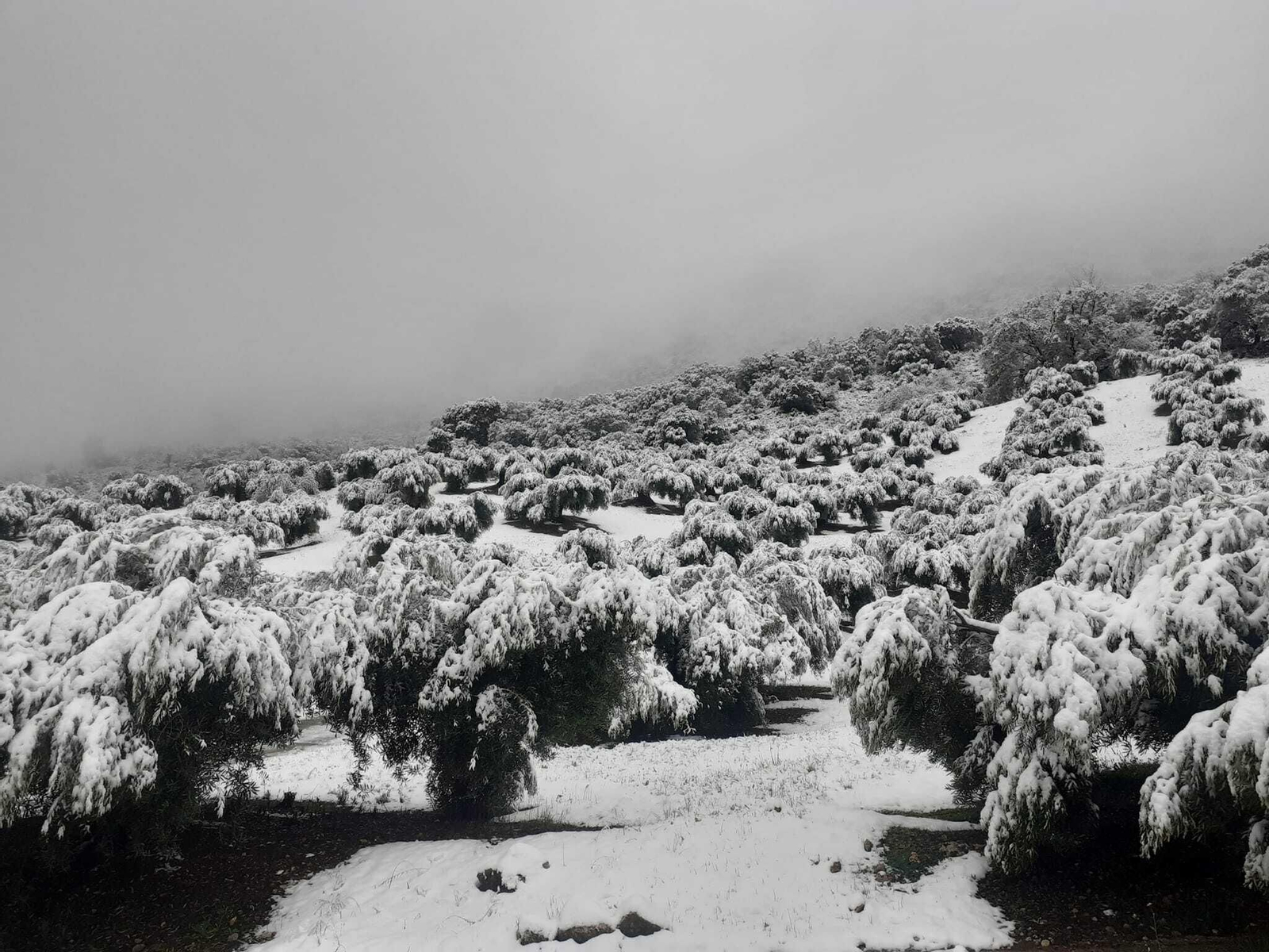 Valdepeñas de Jaén