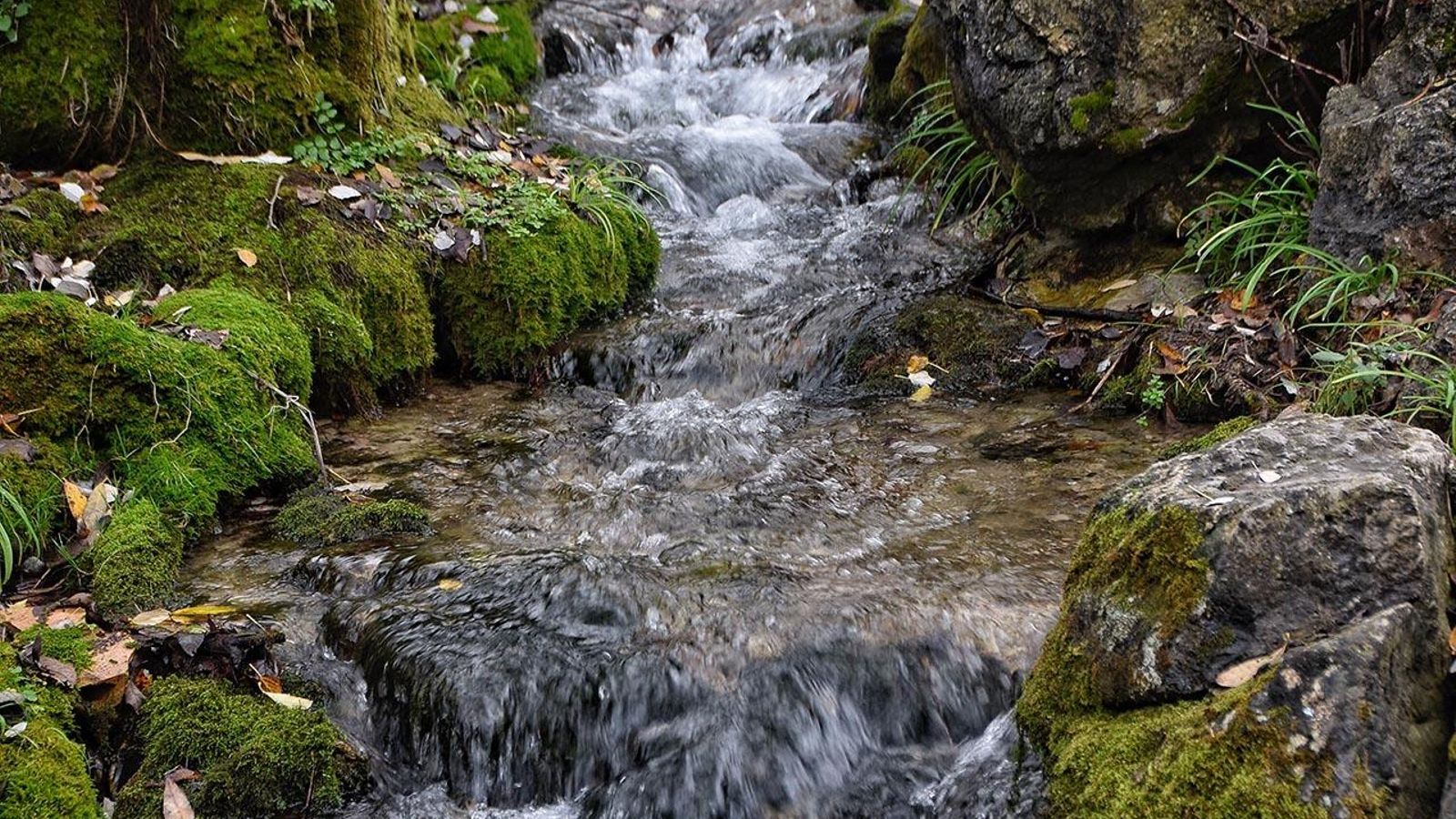El agua que da vida El agua que da vida