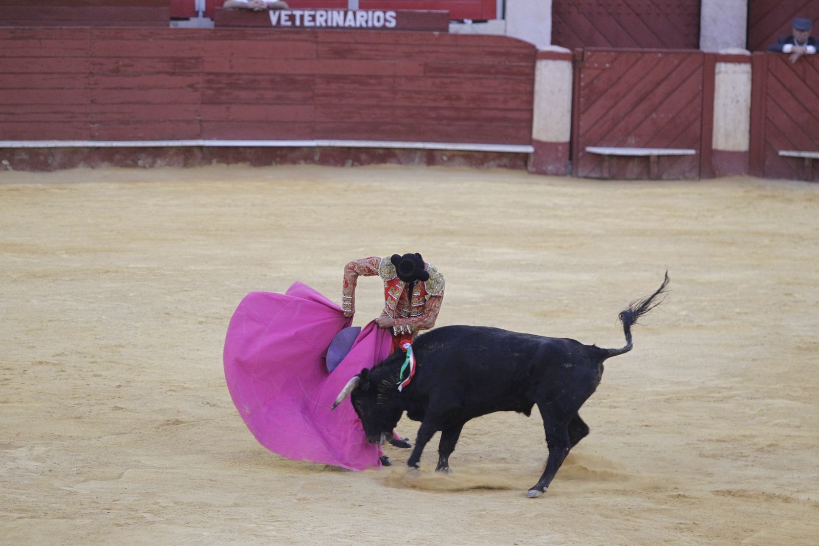 Fotogalería novillada Escuela Taurina de Almería. Feria de Almería 2019