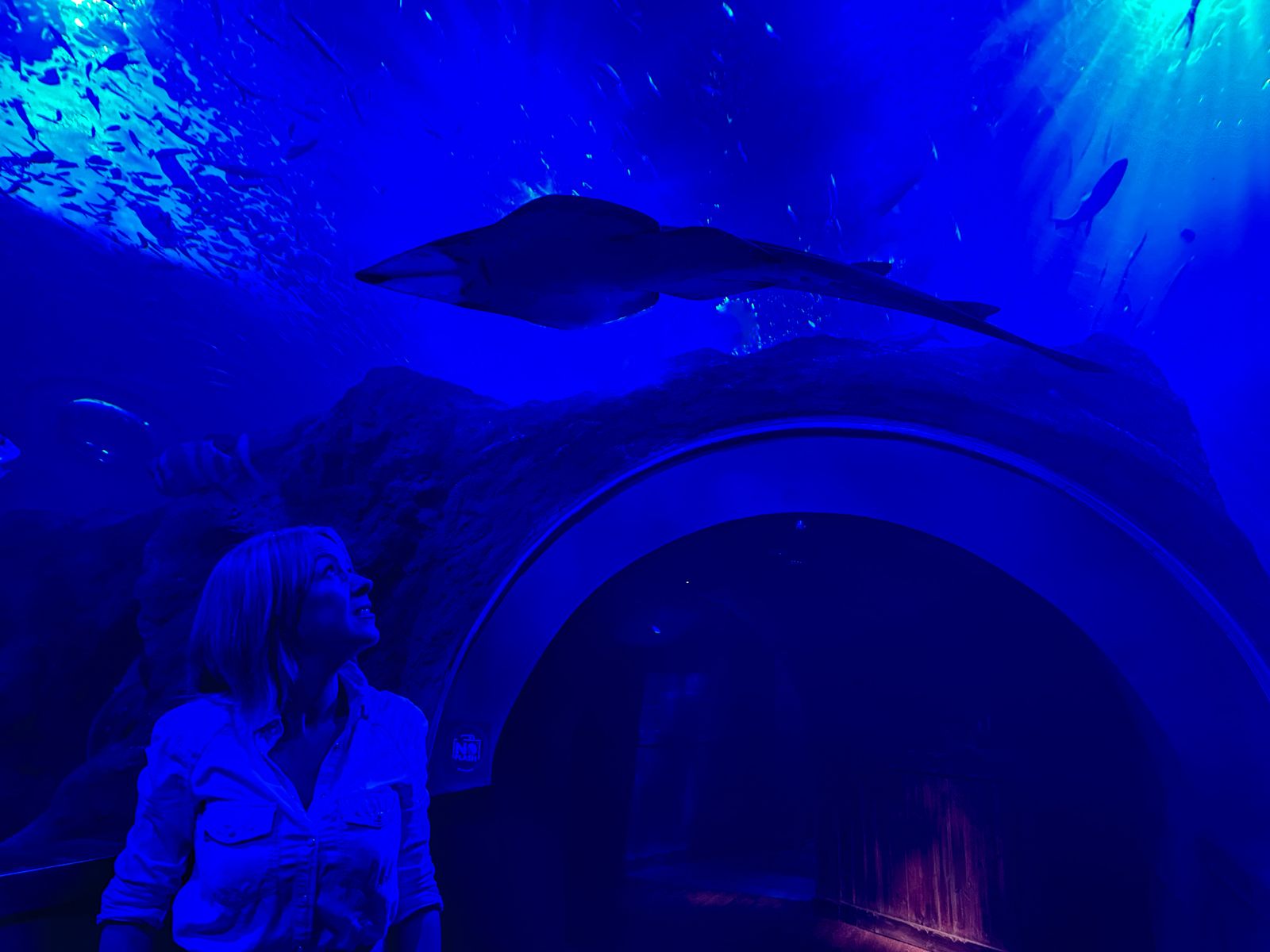 Rocío Alcázar, Gerente del Acuario Sevilla junto a un ejemplar de pez guitarra