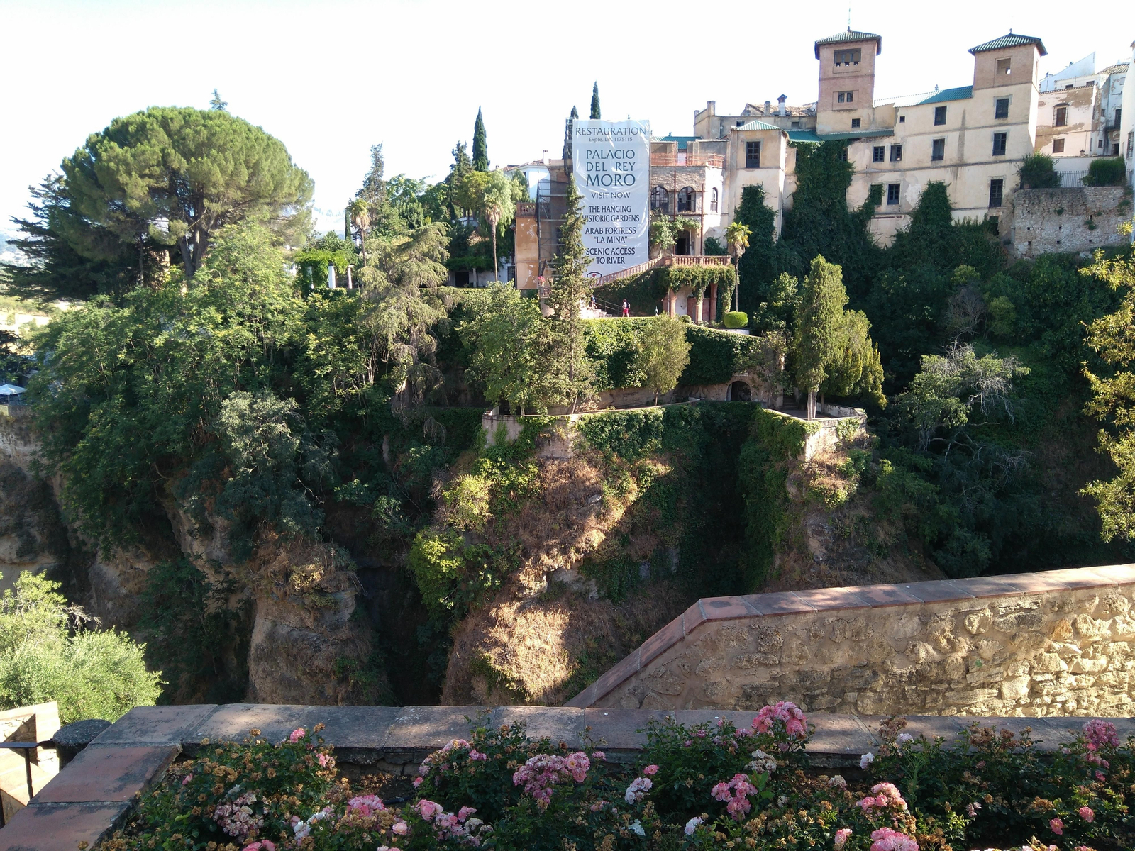 Alianto en los jardines de Forestier situados en el Tajo de Ronda.