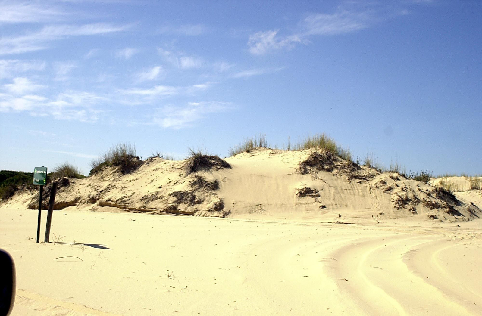Parque Nacional de Doñana: ¿por qué se llama así?