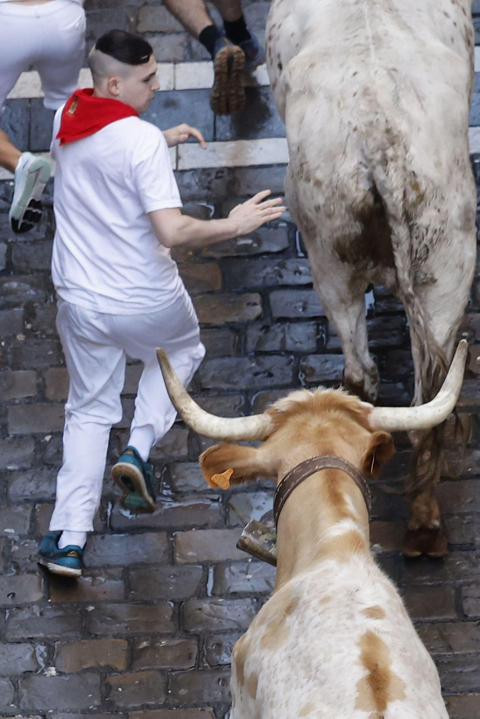 Día de San Fermín (7620175).jpg