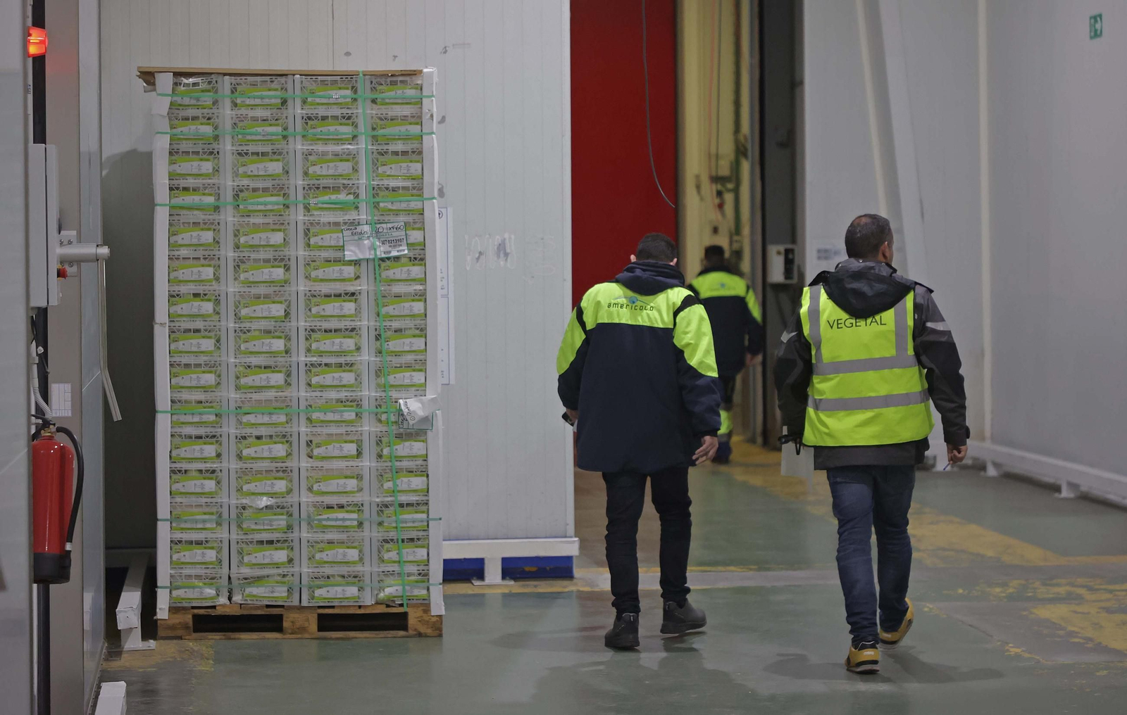 Fotos de la visita a la empresa Americold en el Puerto de Algeciras