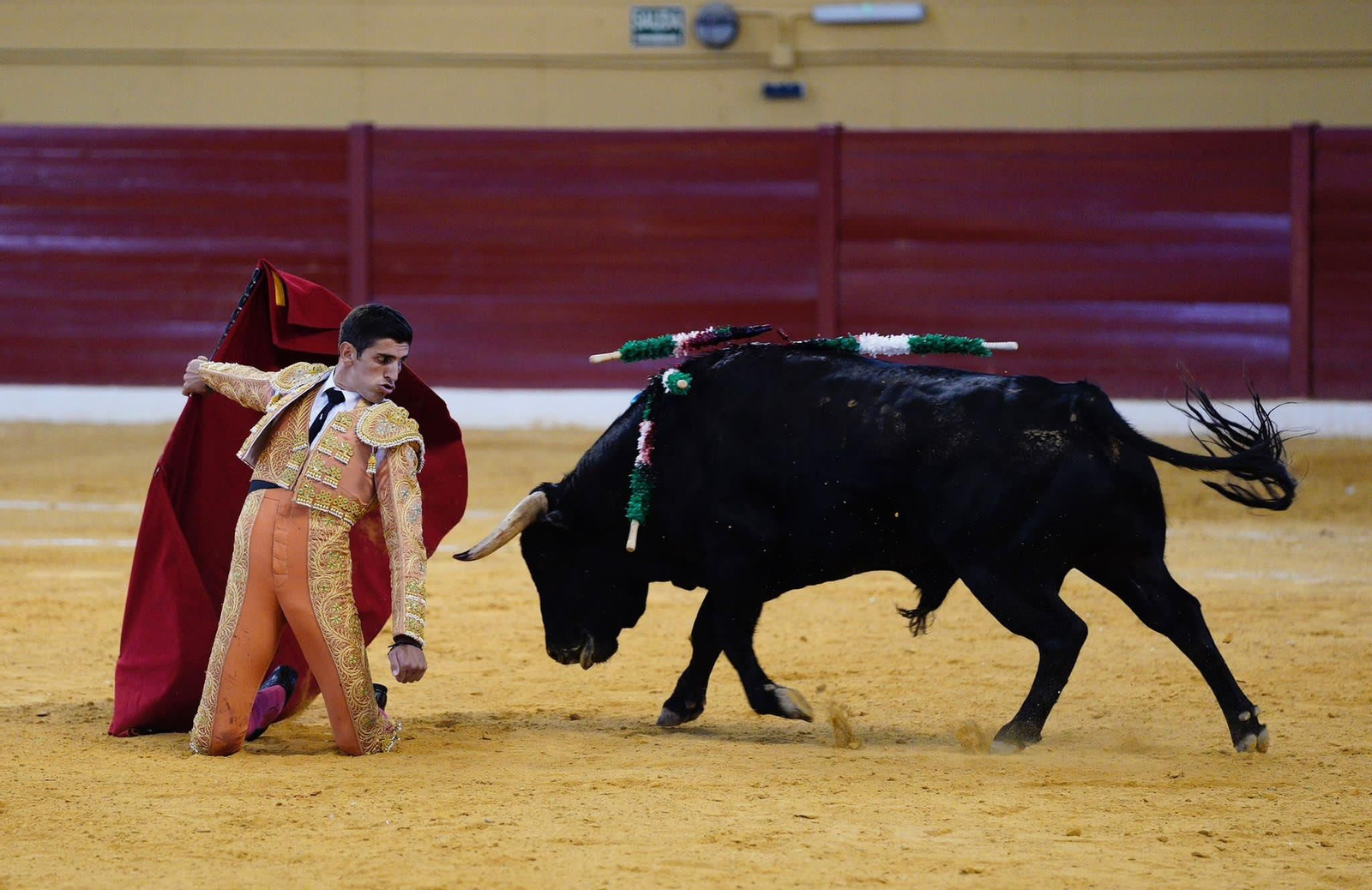 Imagen de una corrida de toros en el Coliseo de Atarfe.