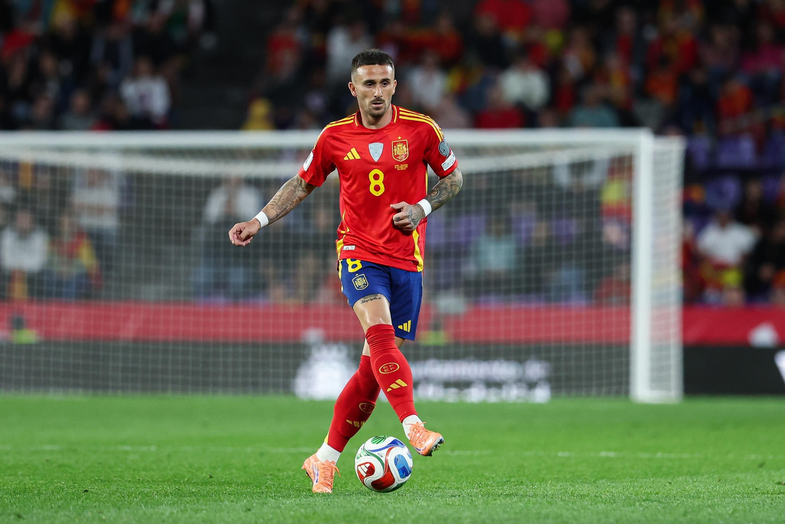 Las mejores fotos del España-Bulgaria