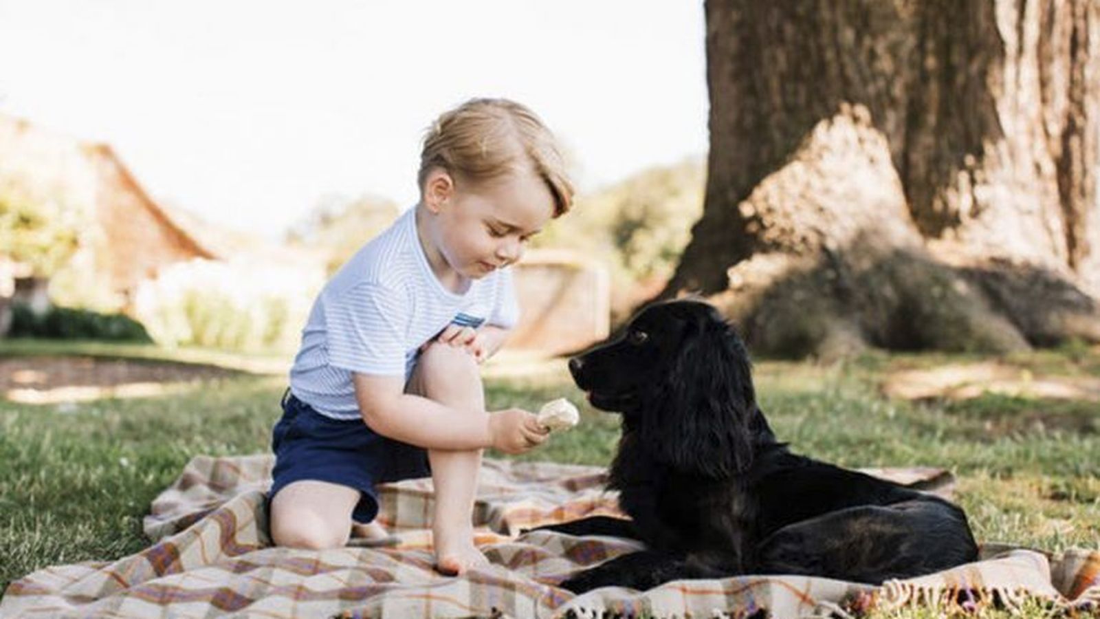 Lupo, con el príncipe Jorge, en sus fotos oficiales por su tercer cumpleaños.