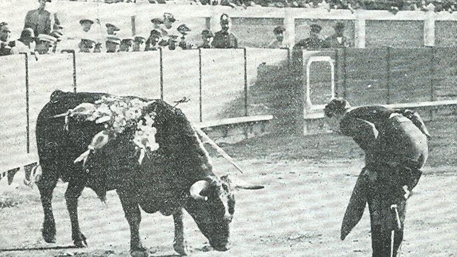 Joselito toreando en la Monumental a beneficio de la Macarena