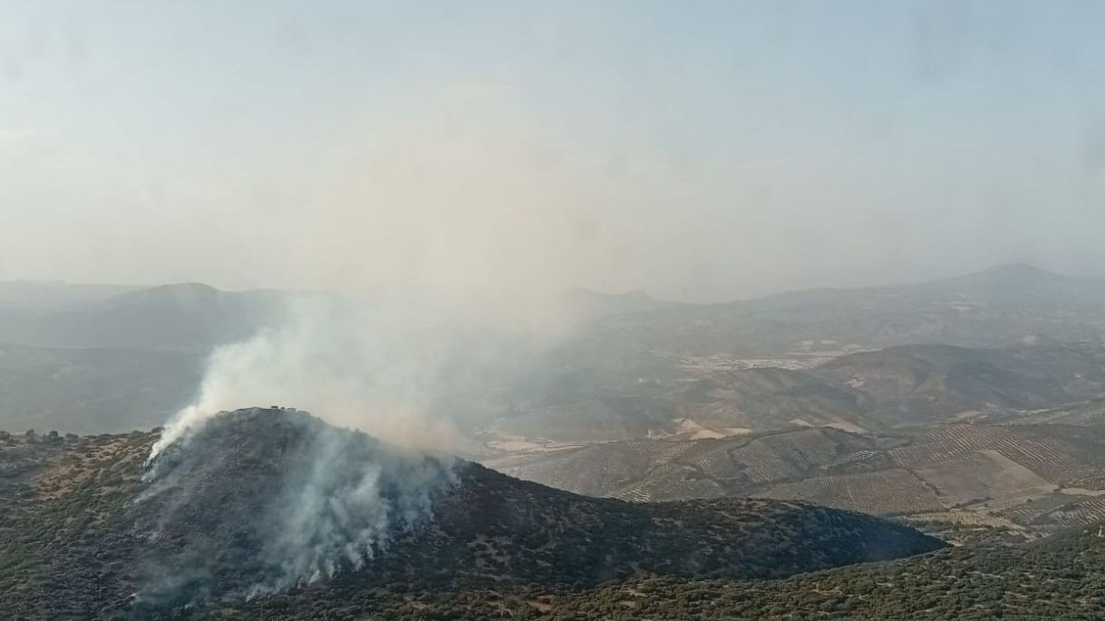 Incendio forestal declarado en Iznalloz