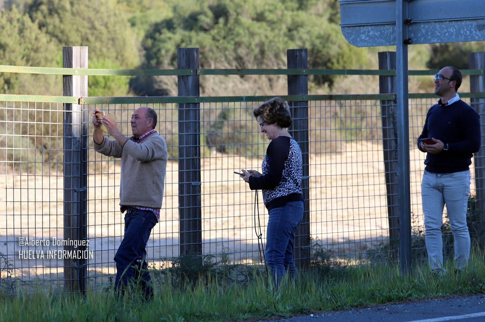 Imágenes de ciervos de Doñana junto a la carretera norte de Matalascañas