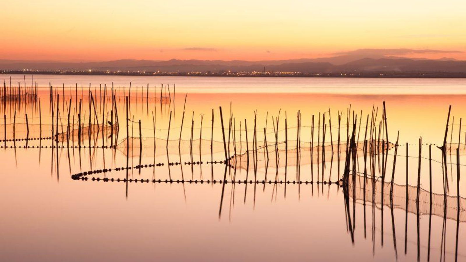 Parque Natural de la Albufera (Valencia)