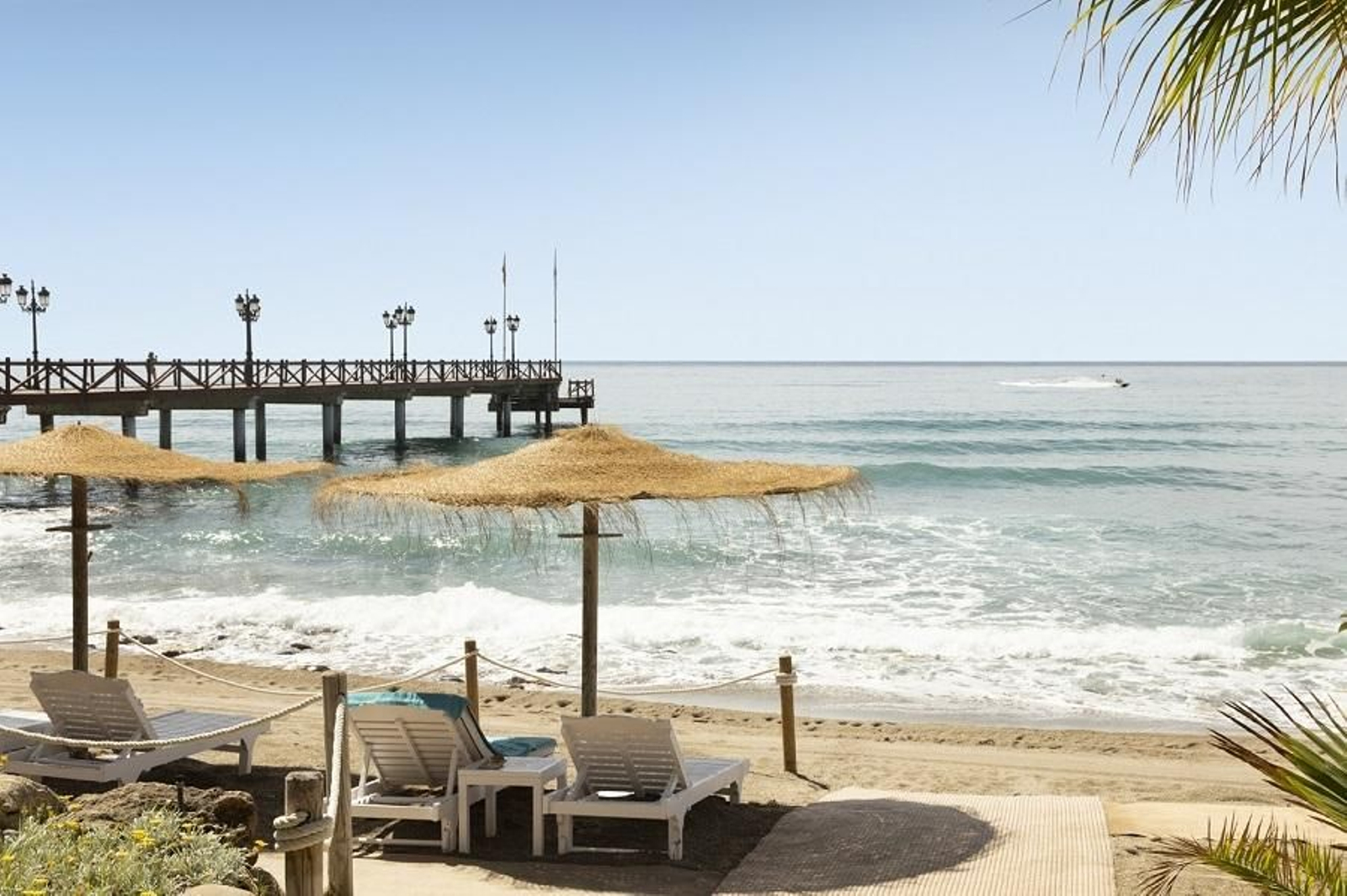 Tumbonas en una playa