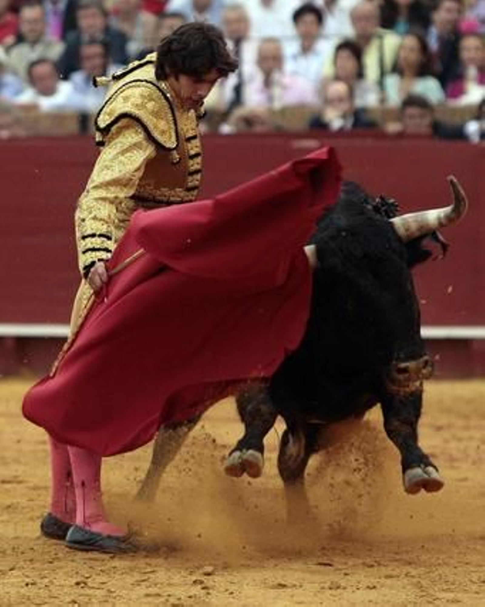 El francés Castella con el cuarto toro de la tarde.

Foto: Juan Carlos Muñoz