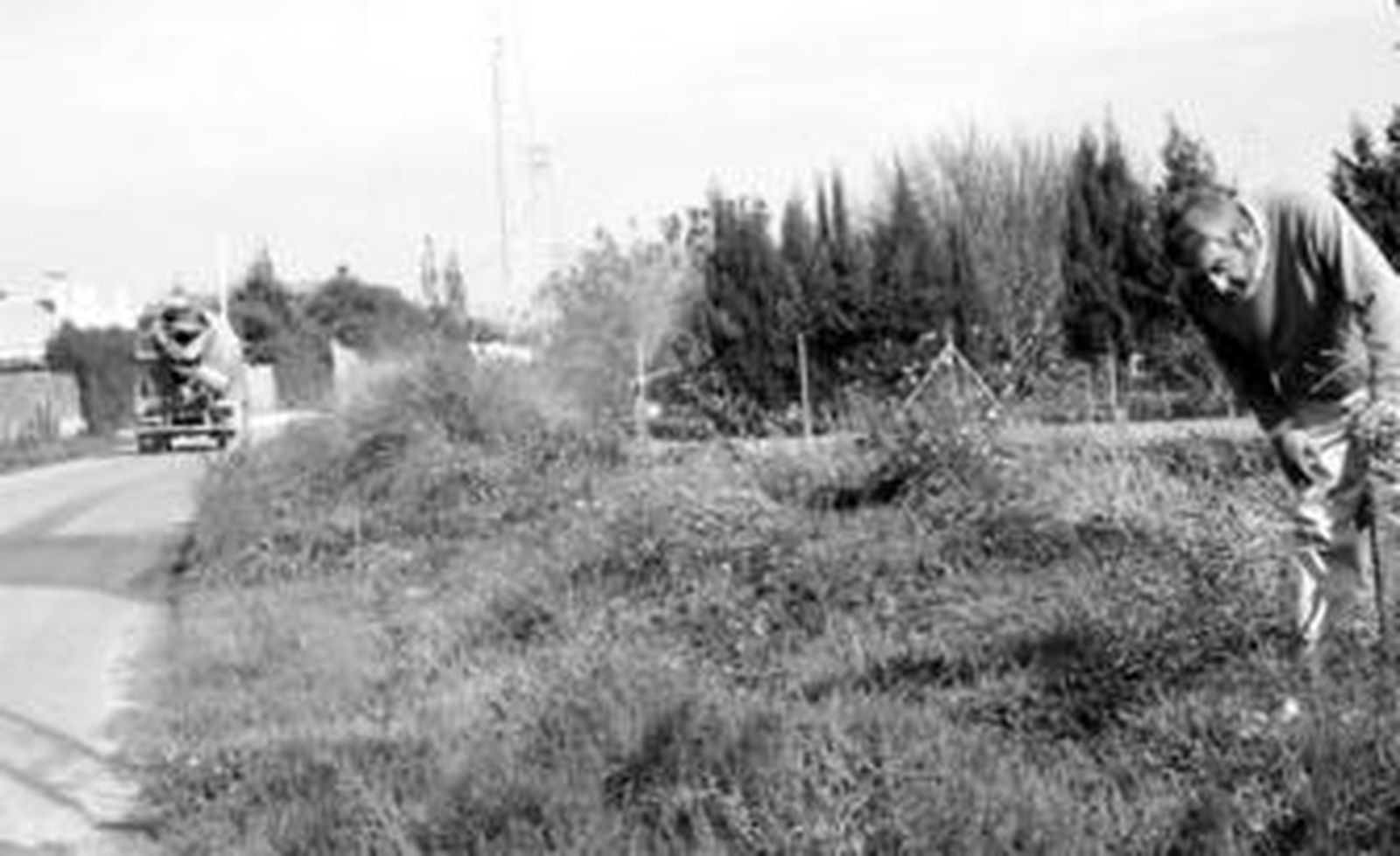 El carril Canarias-La Lobita une la zona industrial con el casco urbano de Conil.