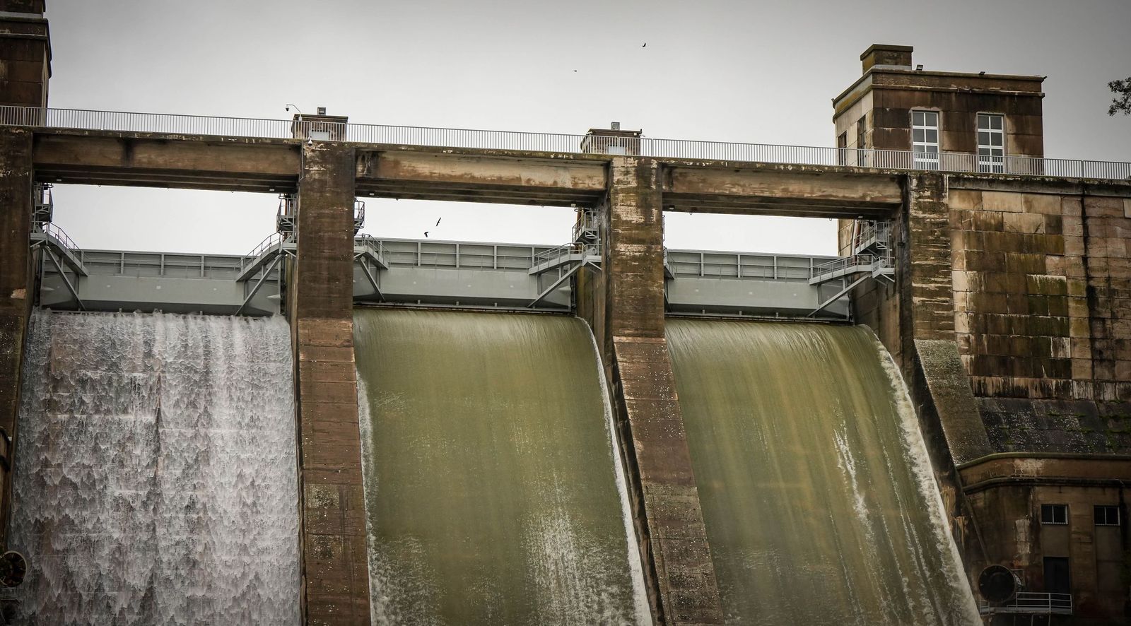 Imágenes del estado actual de los embalses de los Hurones, Guadalcacín y Bornos