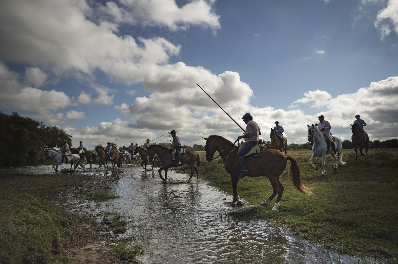 La Saca de las Yeguas, en imágenes