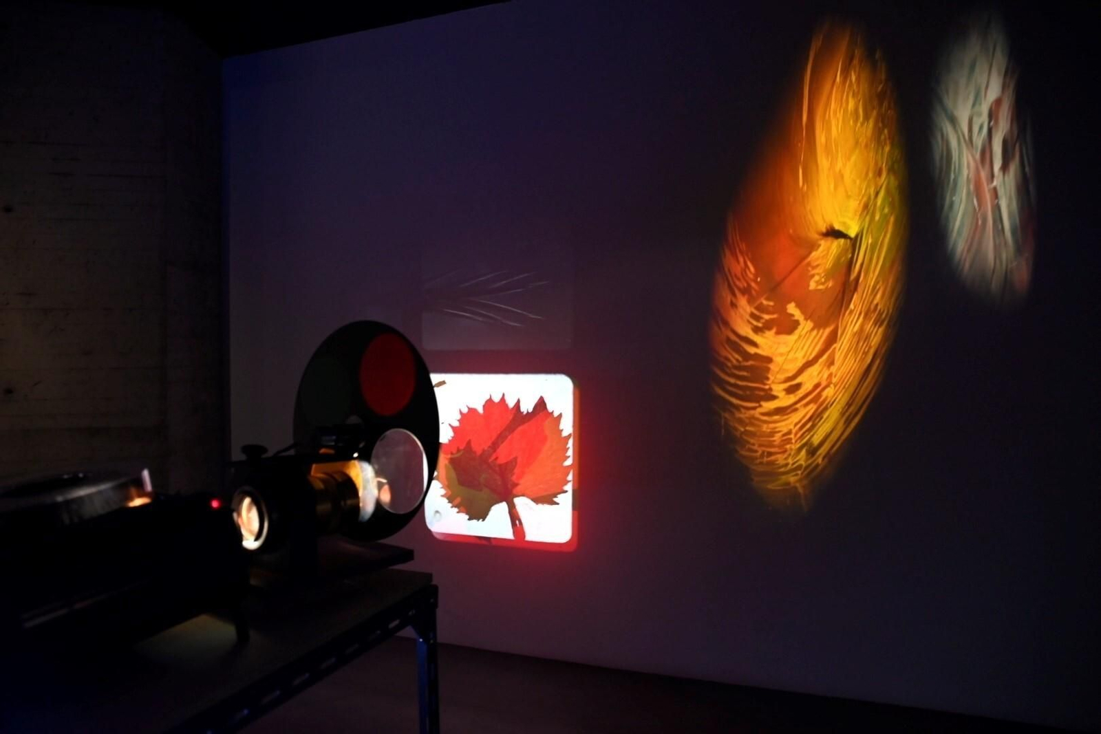 La exposición 'José Val del Omar: Una Técnica con T mayúscula', en imágenes