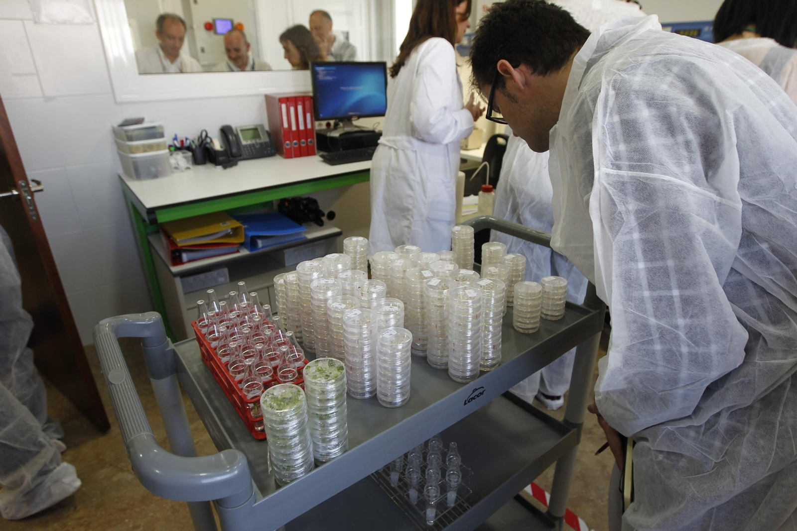 Fotogalería presentación resultados Bayer