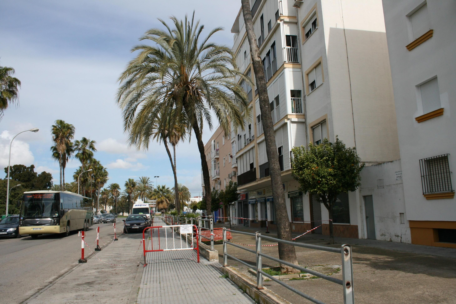 Zona acordonada en la Avenida de Méjico por el riesgo de caída de árboles.
