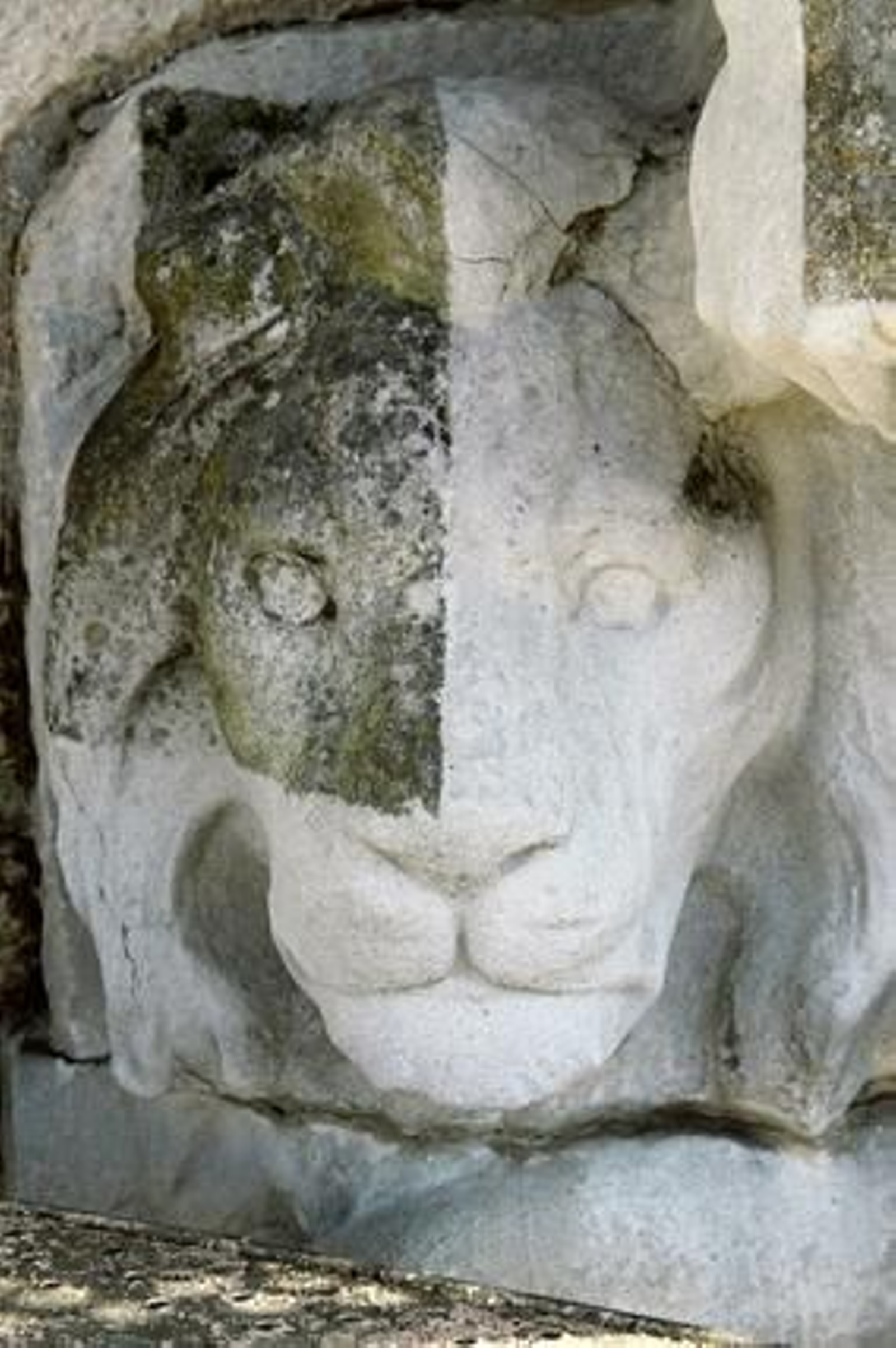 Foto: Julio Gonzalez