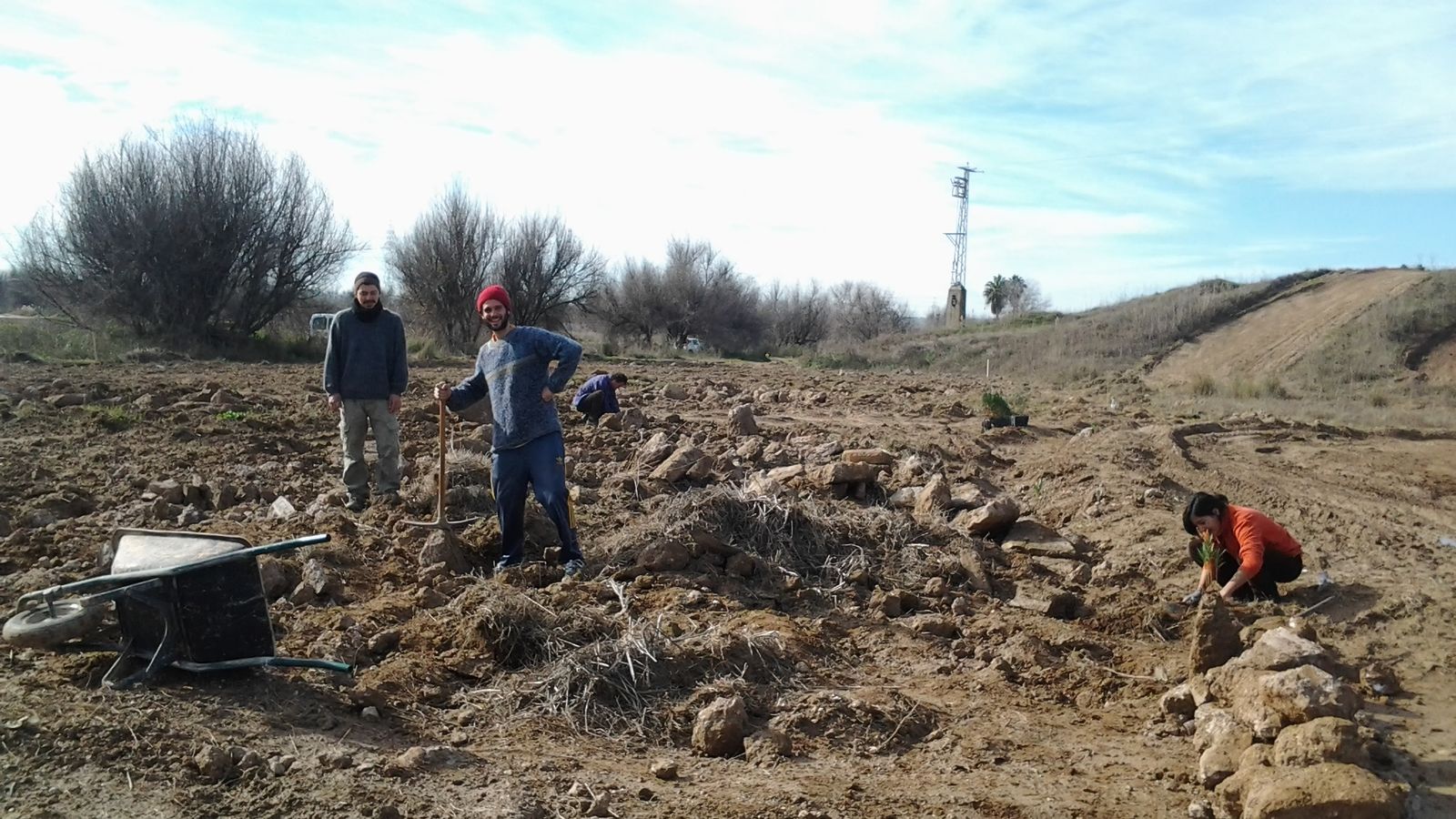 Las parcelas son de 29m2 individuales y no es necesario tener conocimientos previos de horticultura.