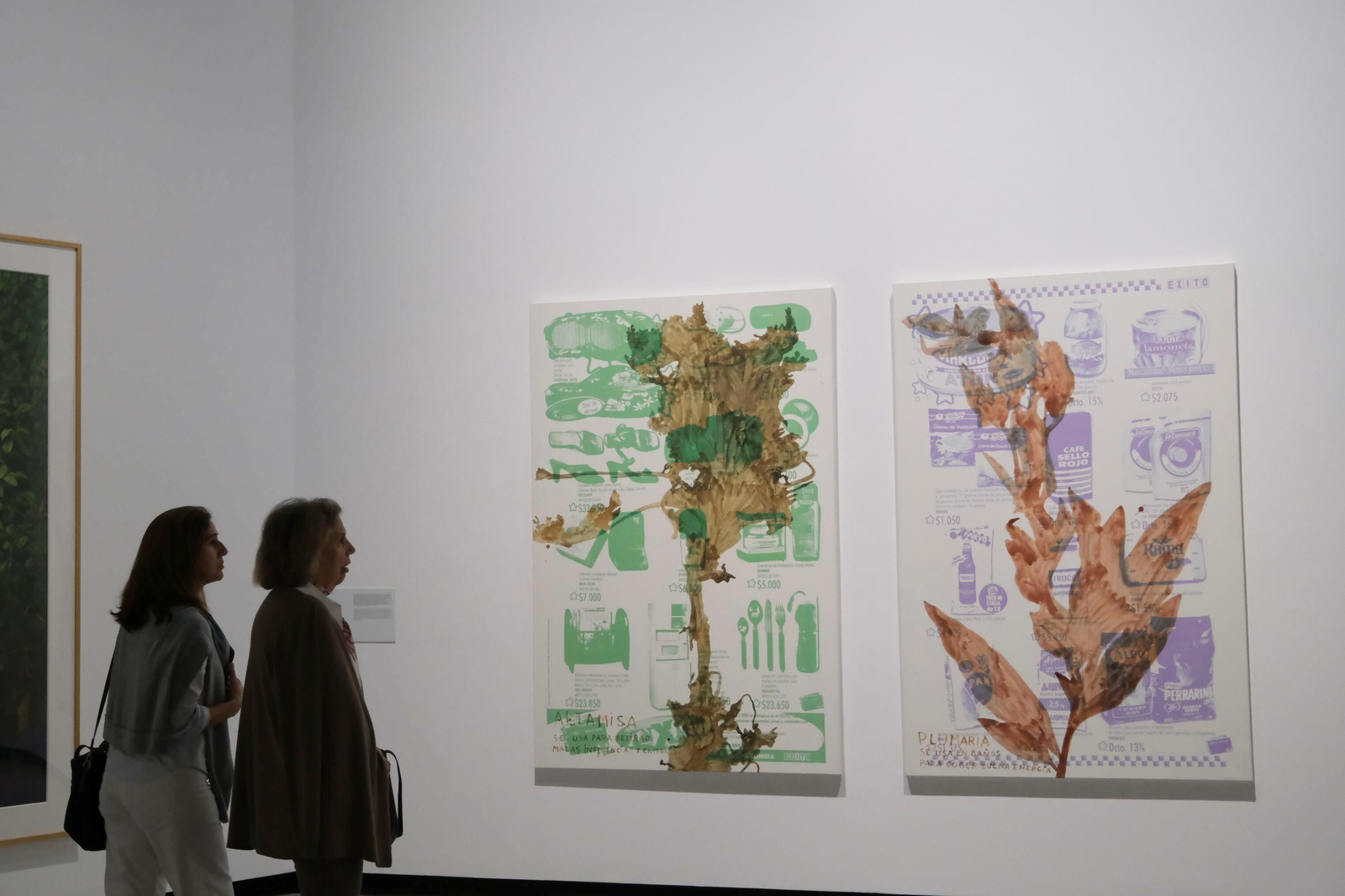 La exposición 'Sombra verde' de Federico Guzmán en el C3A de Córdoba, en imágenes