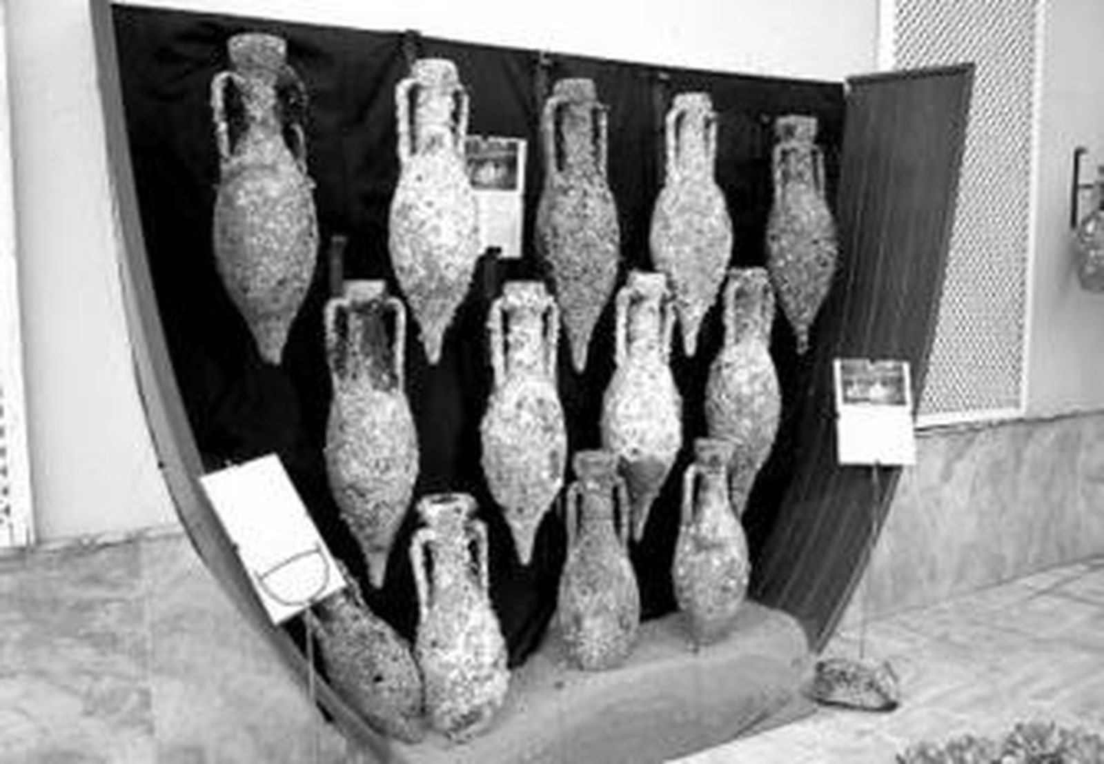 Muestra de las ánforas de mar que se exponen en Carboneras.