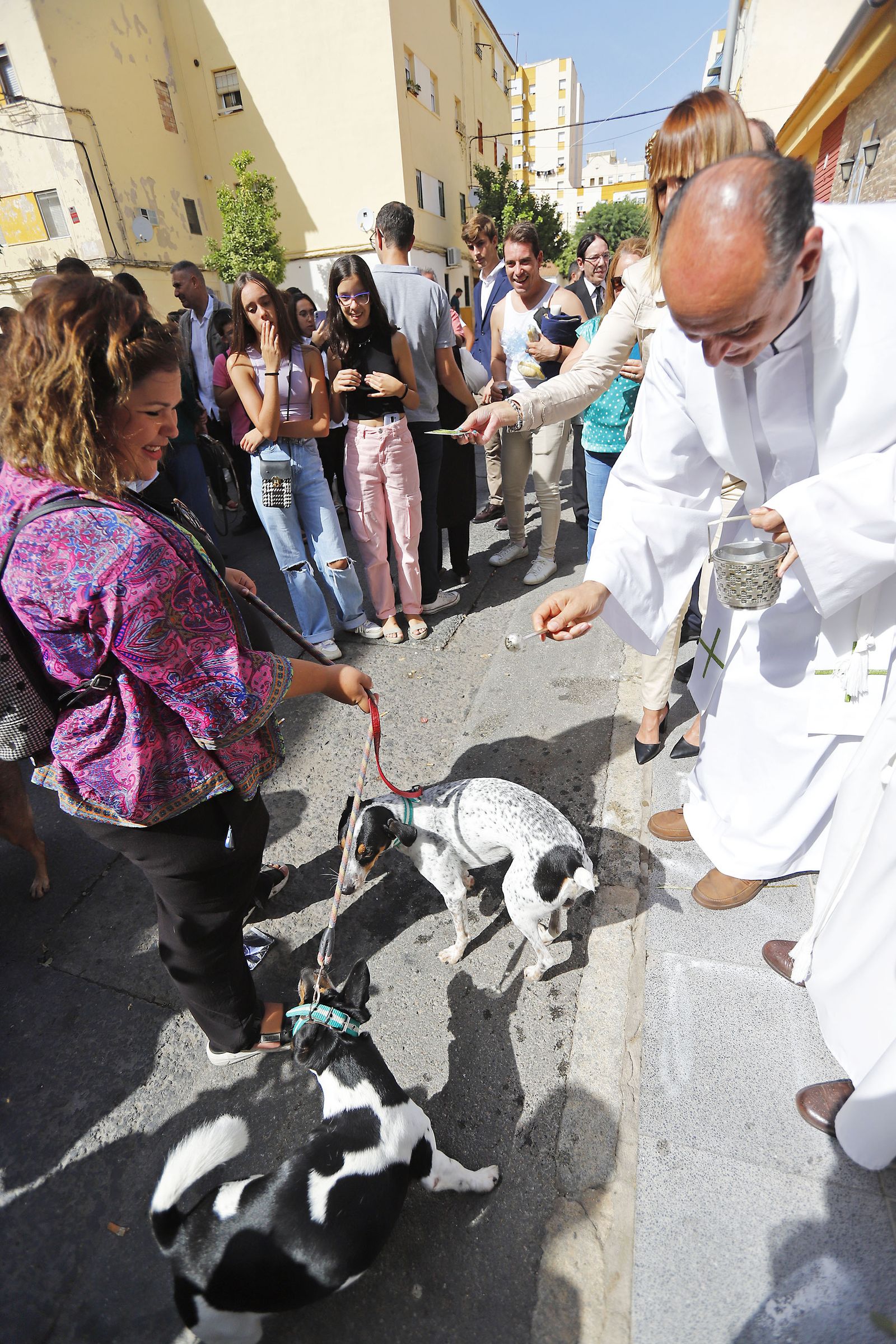Imágenes de la procesión de San Francisco de Asís por las calles de Pérez Cubillas y bendición de animales y plantas