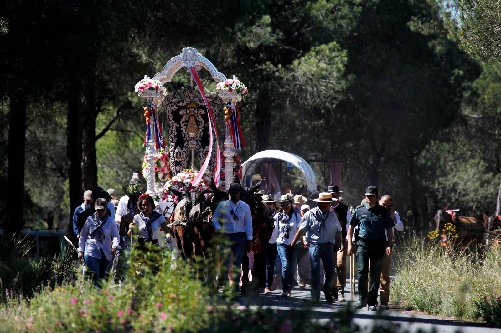 El Simpecado de Cartaya, entre los pinares de Cartaya, durante su salida del año pasado.
