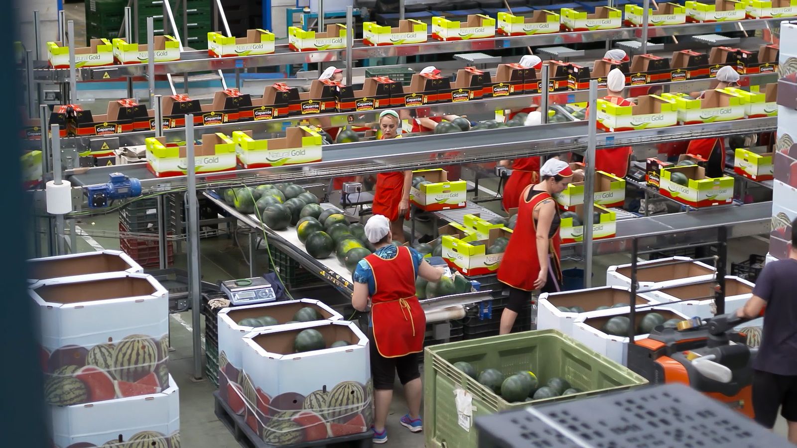 Centro de manipulación del Grupo Caparrós.