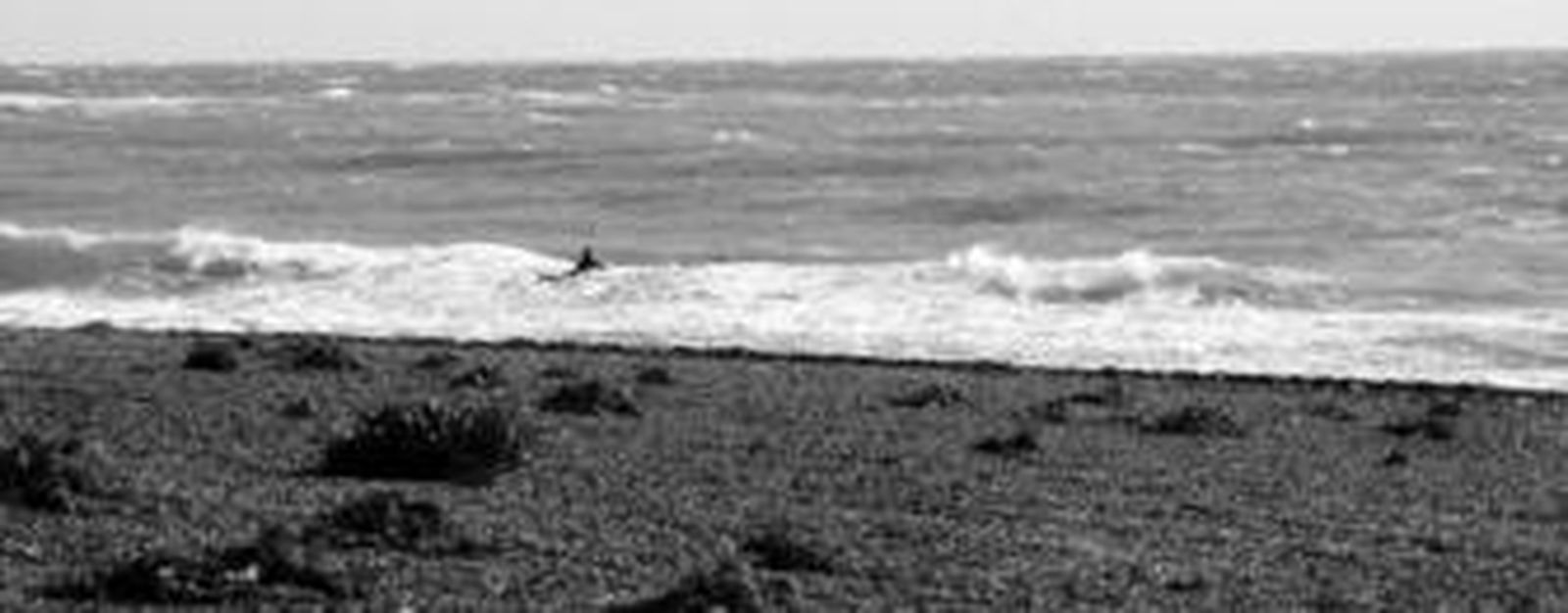 La zona de Carchuna es una de las preferidas para los surfistas.