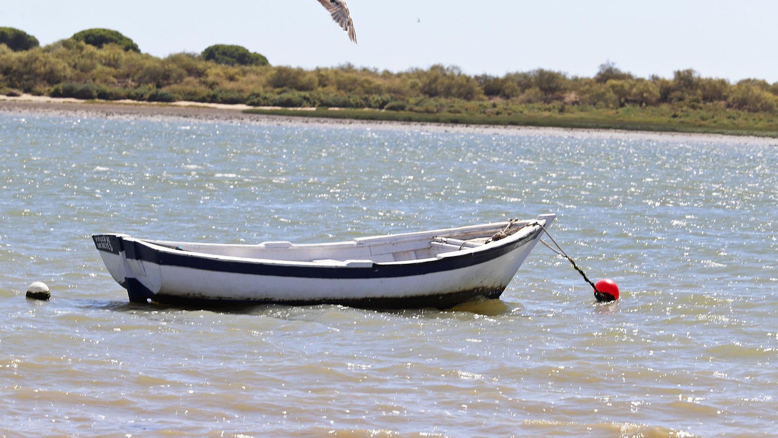 La playa de la Flecha de Nueva Umbría La playa de la Flecha de Nueva Umbría