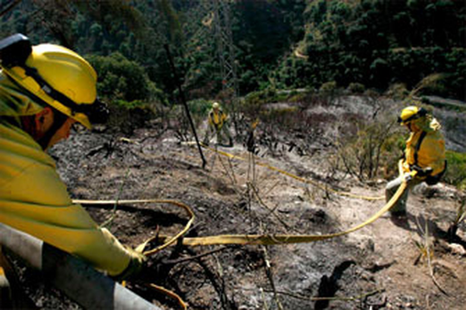 El incendio ha afectado a 15 héctareas de matorral y encinar