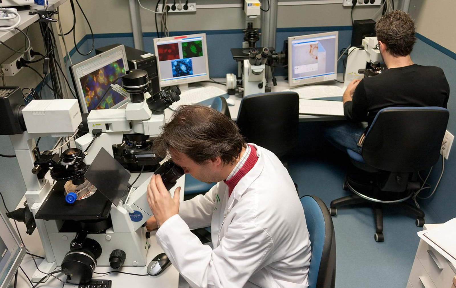 Avances para el optimismo