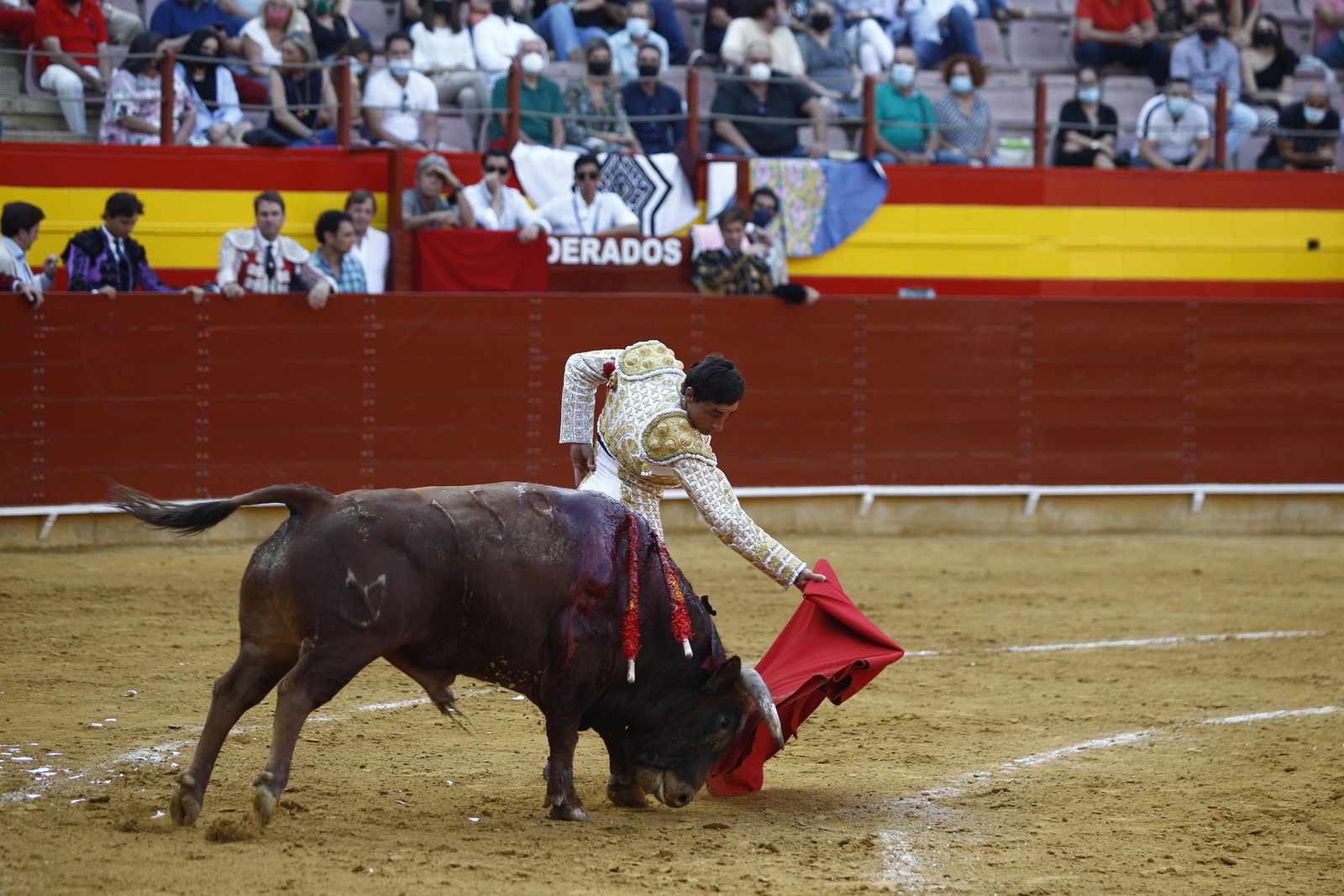 Fotogalería corrida de toros. Cayetano Rivera, Paco Ureña y Roca Rey. Roquetas de Mar.