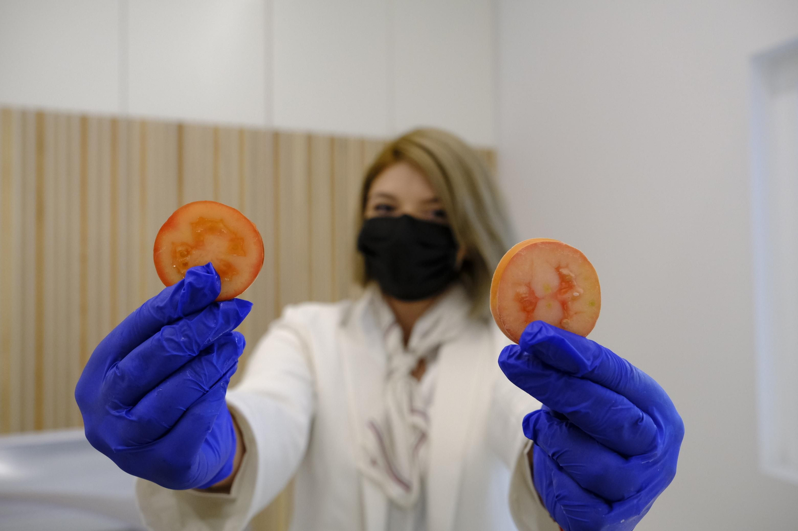 Fotogalería inauguración planta La Unión Nice en Adra.