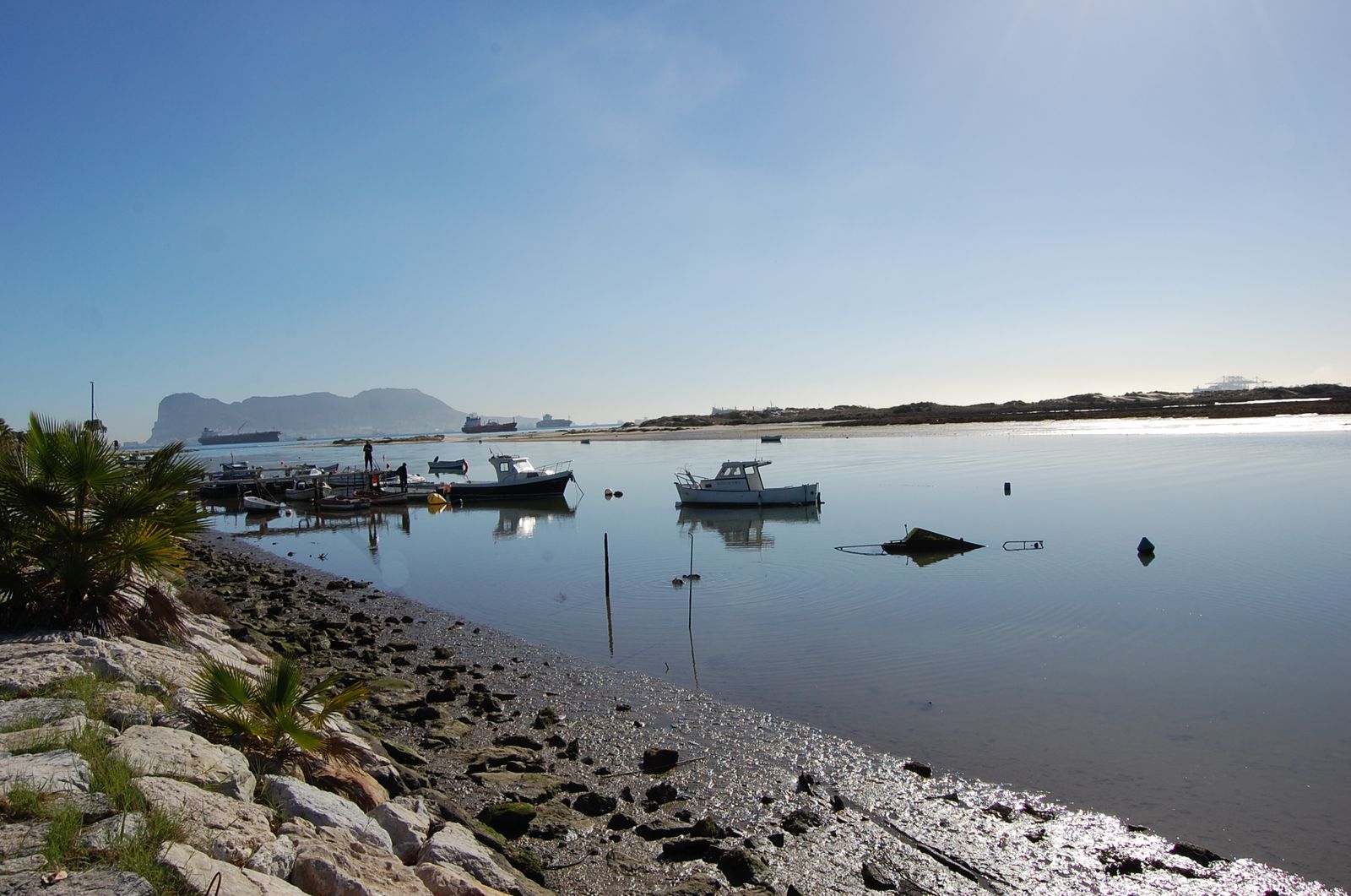 La ribera del río Palmones, junto al paseo marítimo.