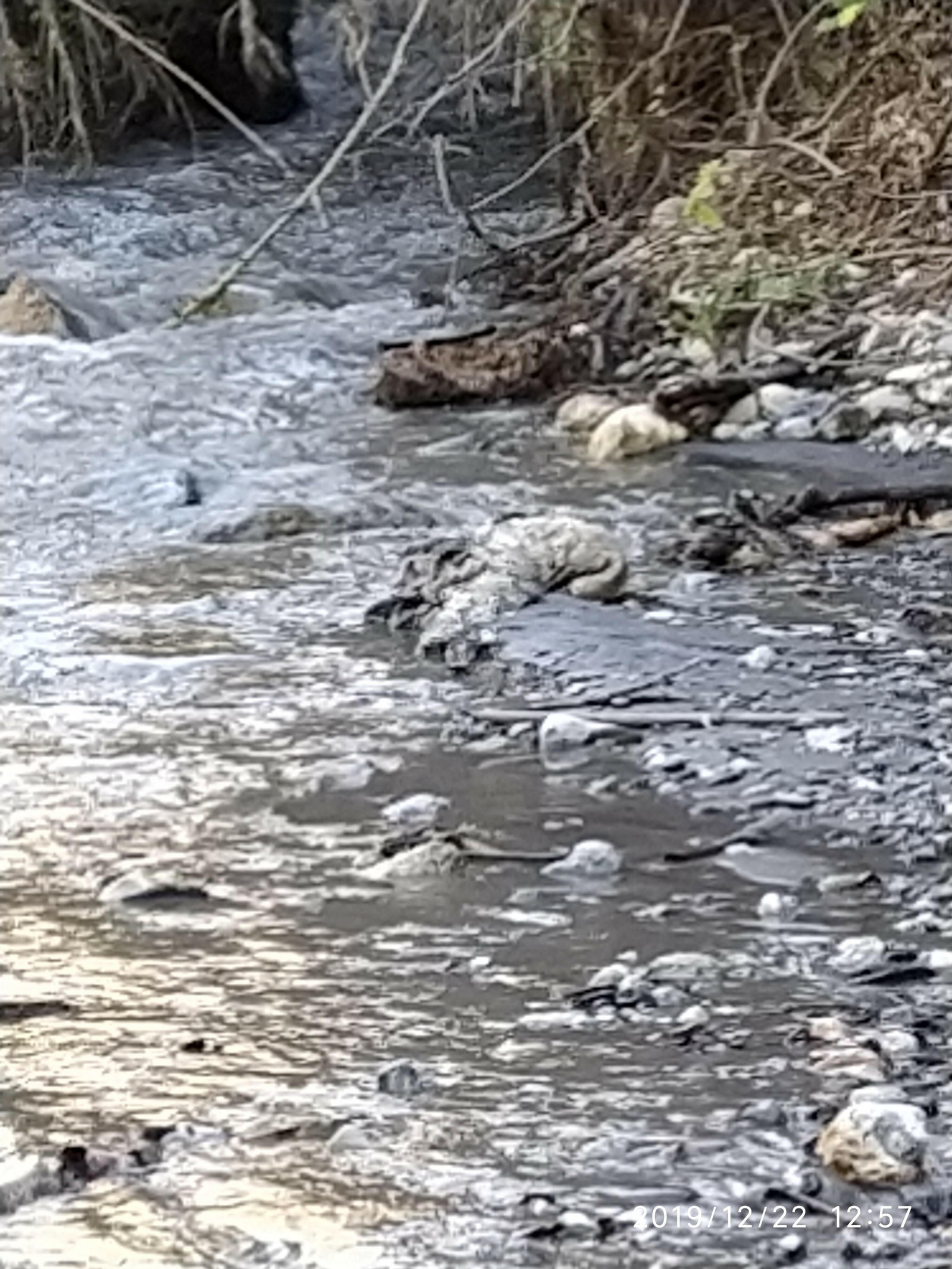Zona en la que han encontrado en cadáver