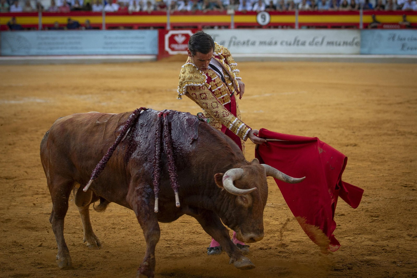 Pereda y Aguado triunfan en Granada