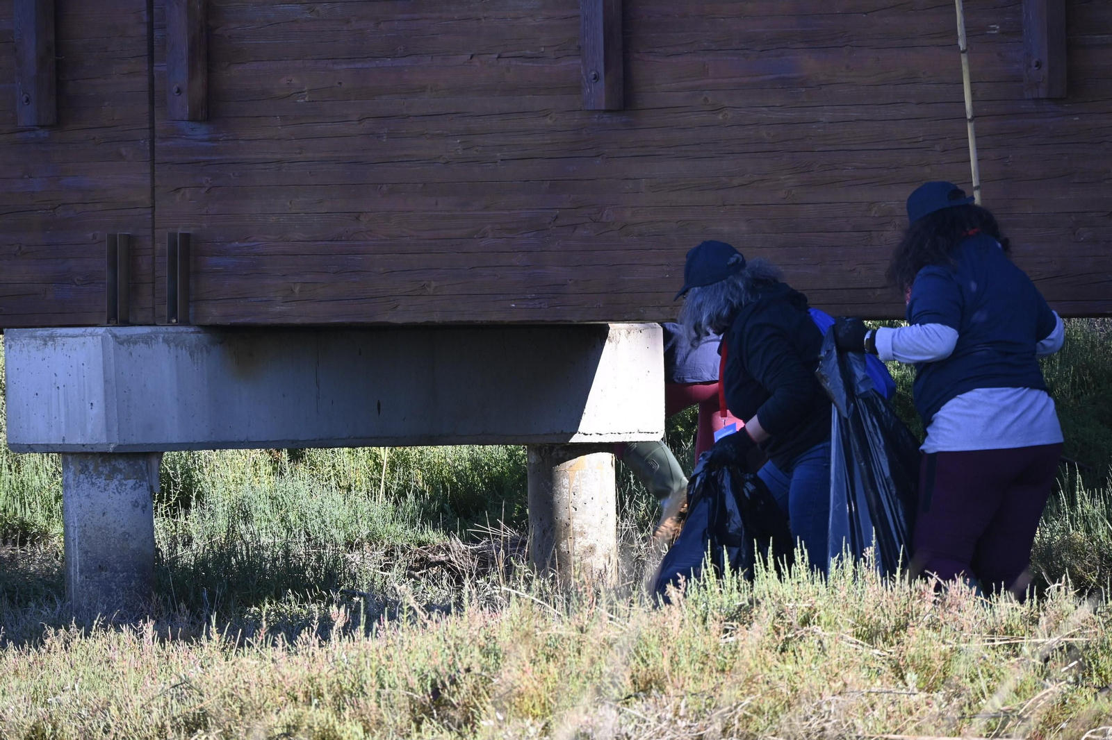 Plantación de la especie autóctona Espartina Marítima en imágenes