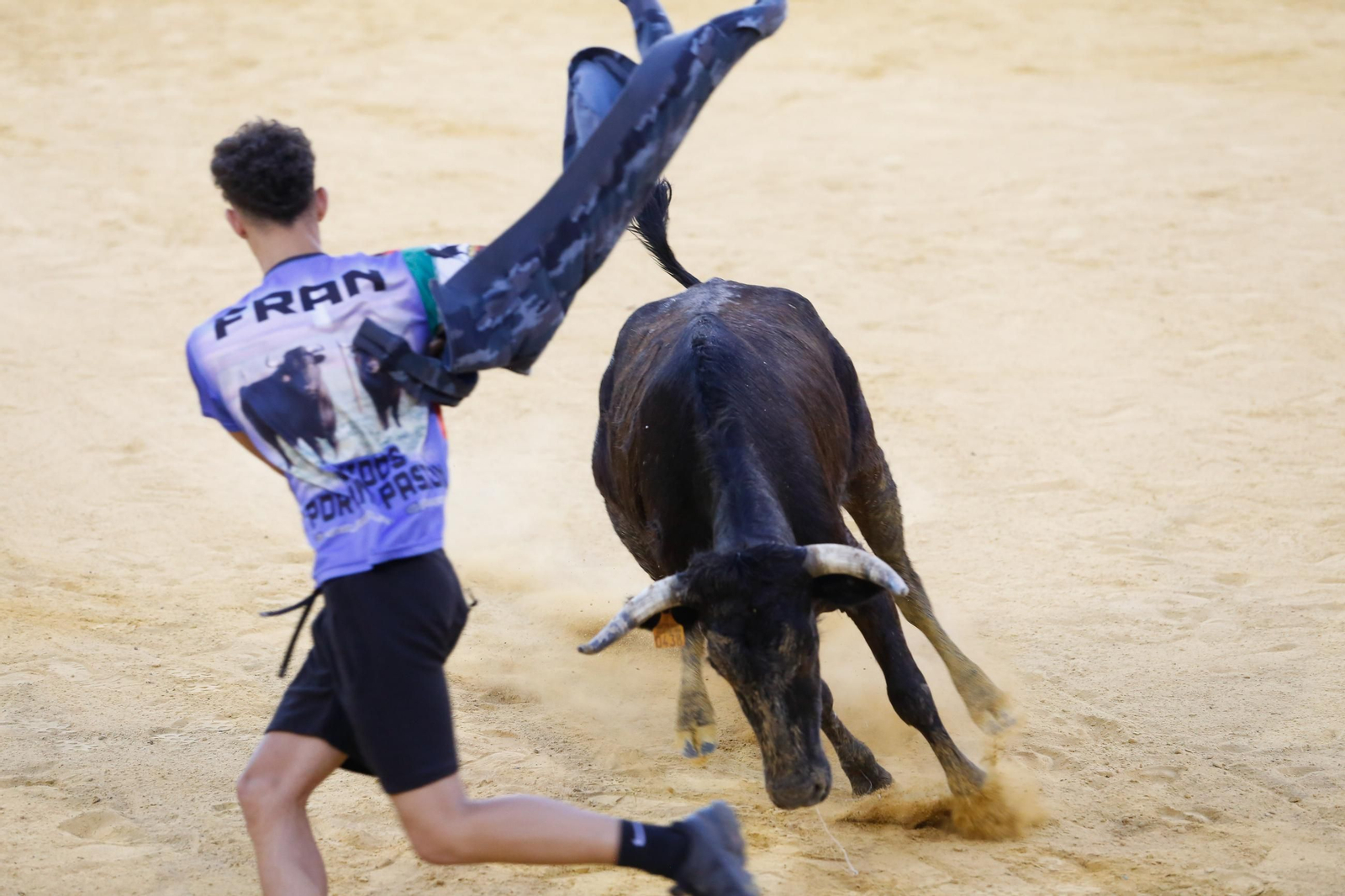 Fotos del Toro del Aguardiente en San Roque